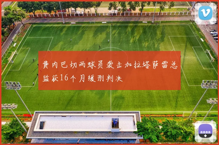 费内巴切两球员袭击加拉塔萨雷总监获16个月缓刑判决