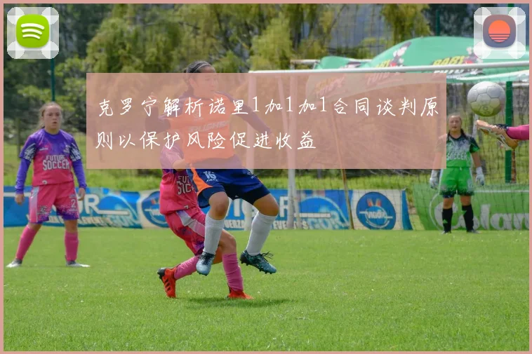 克罗宁解析诺里1加1加1合同谈判原则以保护风险促进收益